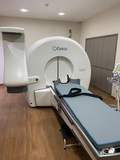 Gamma Knife Surgery