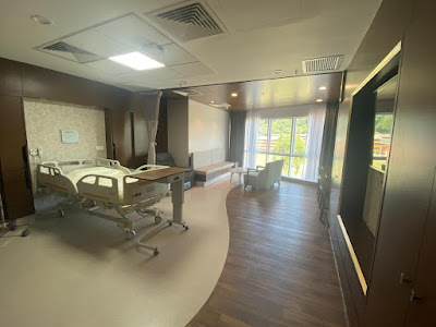 VIP Room Deluxe Suites Pantai Hospital Malaka 1