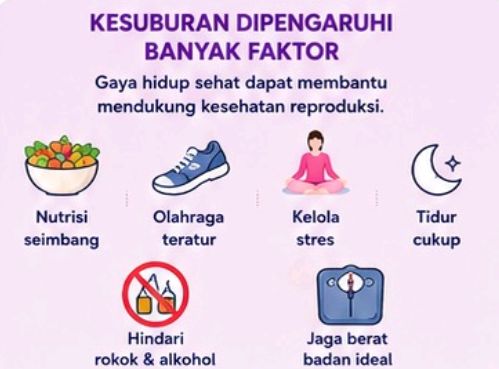 Pemeriksaan Kesuburan AMH:  Apa Arti Hasil Tinggi dan Rendah?